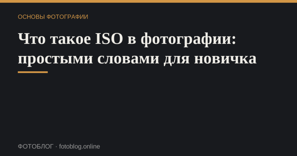 Что такое ISO в фотографии: простыми словами для новичка