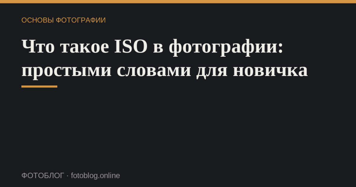 Что такое ISO в фотографии: простыми словами для новичка