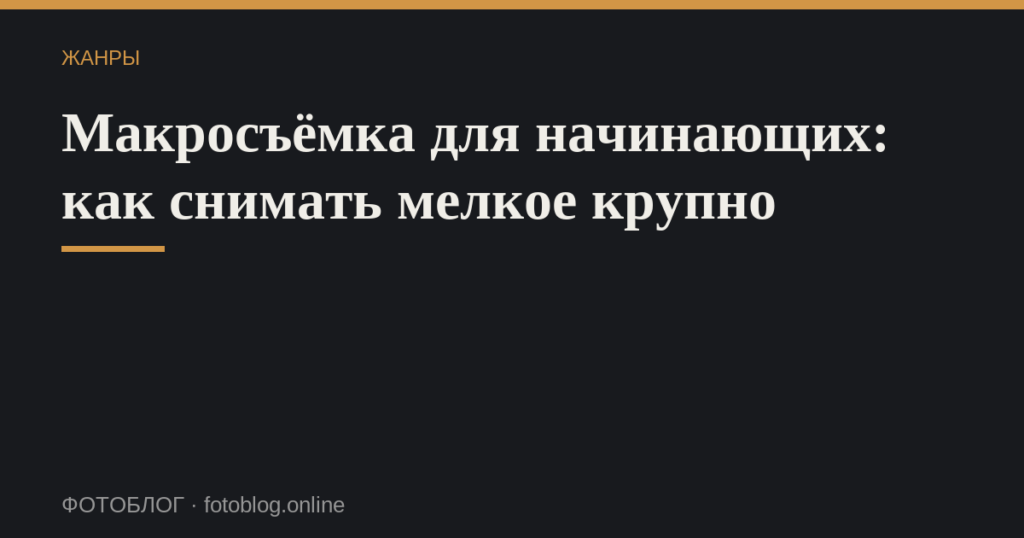 Макросъёмка для начинающих: как снимать мелкое крупно