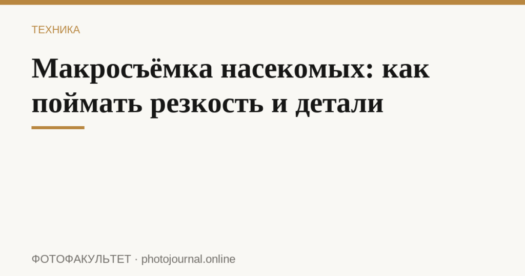 Макросъёмка насекомых: как поймать резкость и детали