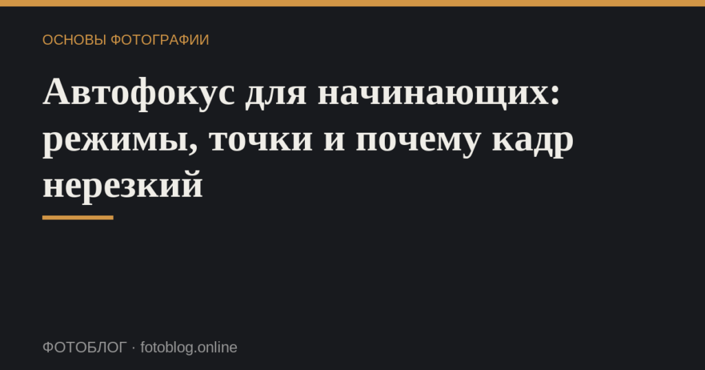 Автофокус для начинающих: режимы, точки и почему кадр нерезкий