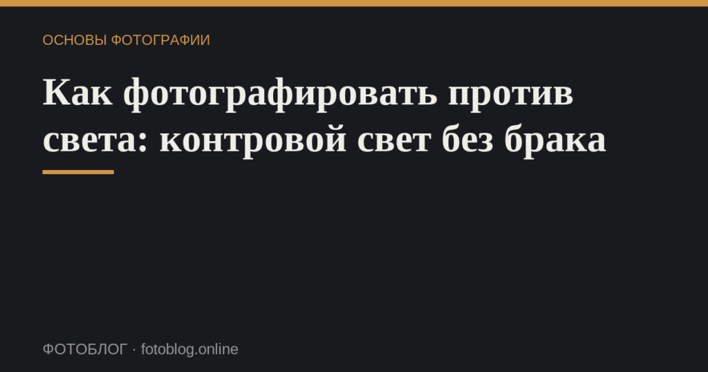 Как фотографировать против света: контровой свет без брака