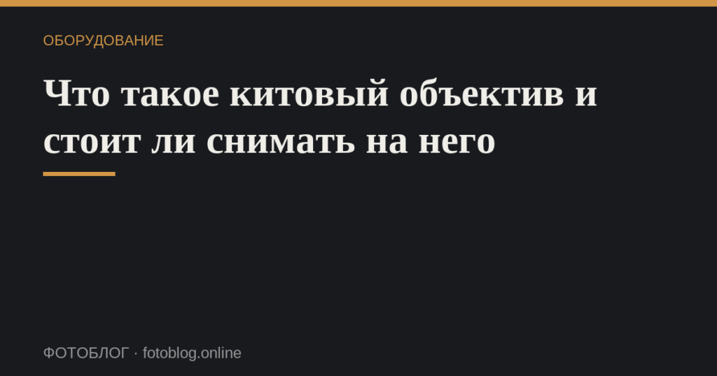 Что такое китовый объектив и стоит ли снимать на него