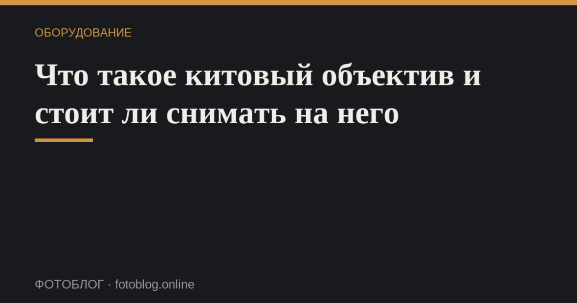 Что такое китовый объектив и стоит ли снимать на него