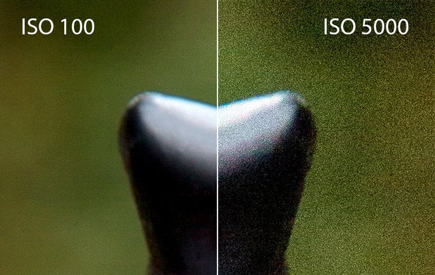ISO (светочувствительность): боремся с шумом правильно