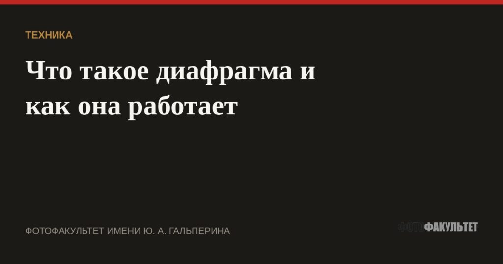 Что такое диафрагма и как она работает