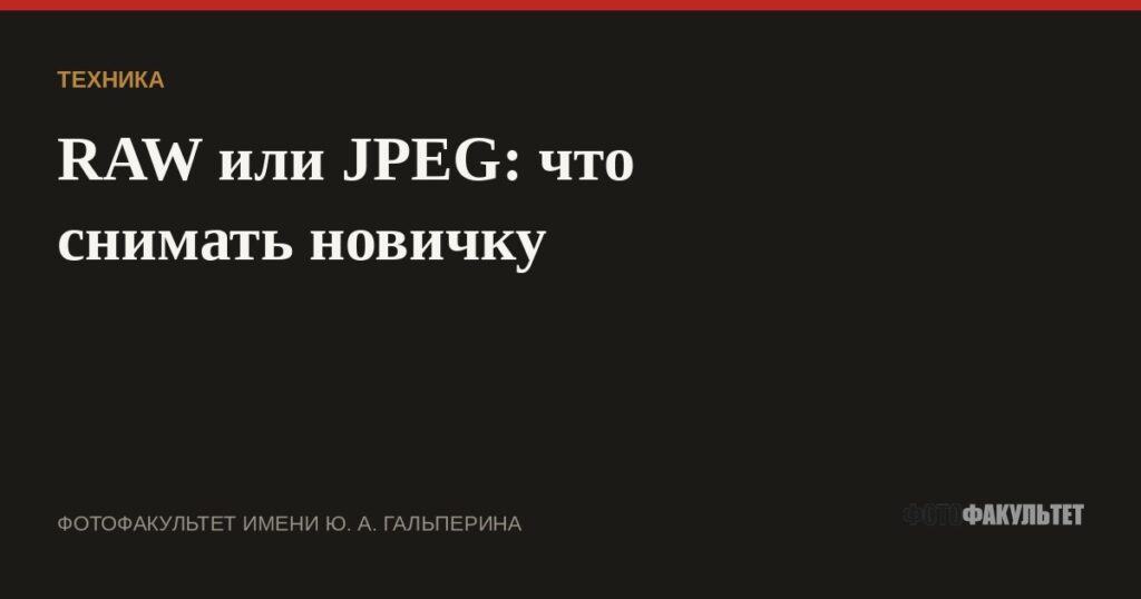 RAW или JPEG: что снимать новичку